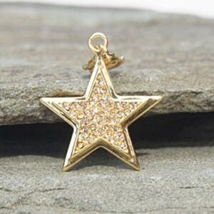 24kt plate Gold or White Swarovski Star Pendant Necklace